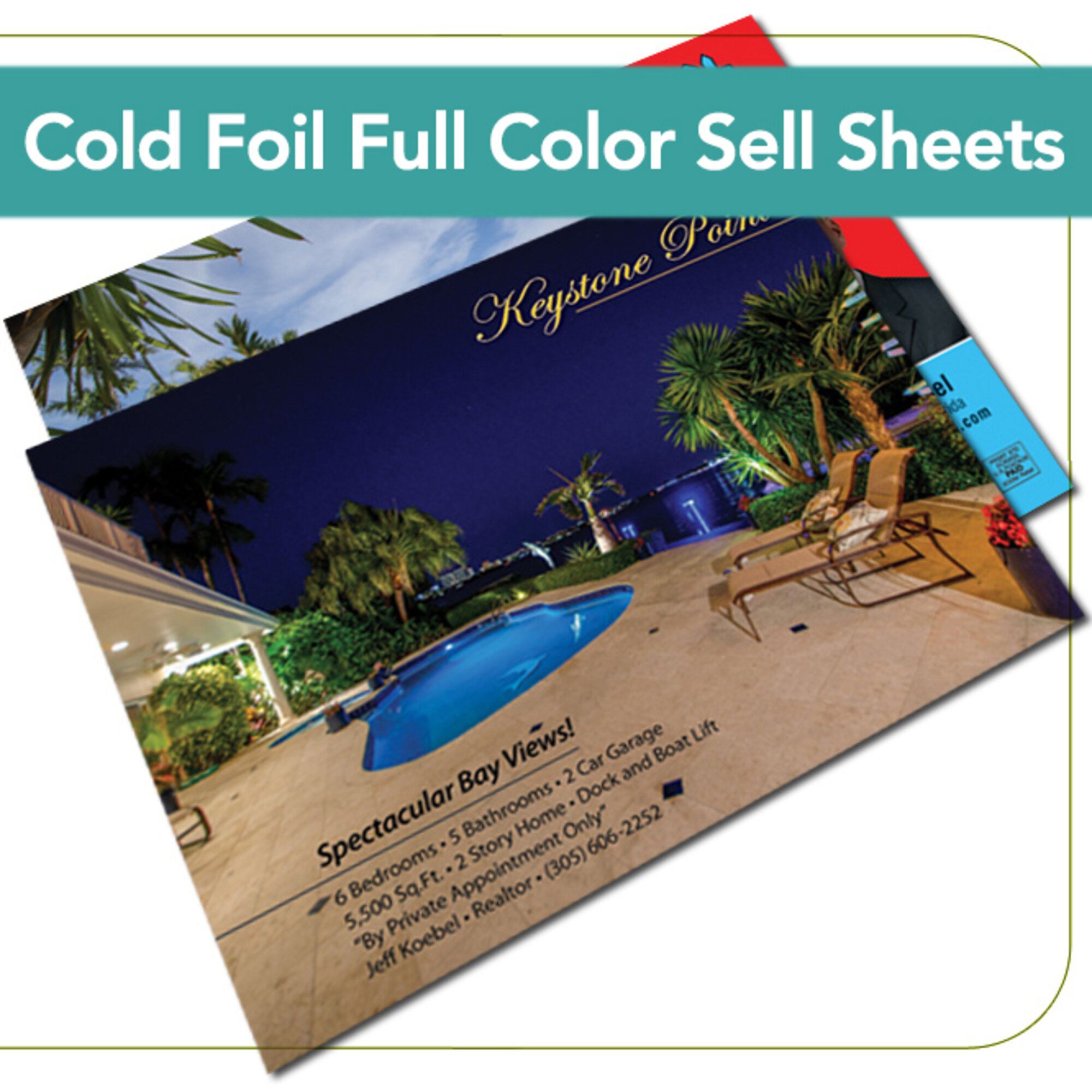 Cold Foil Full Color Sell Sheets